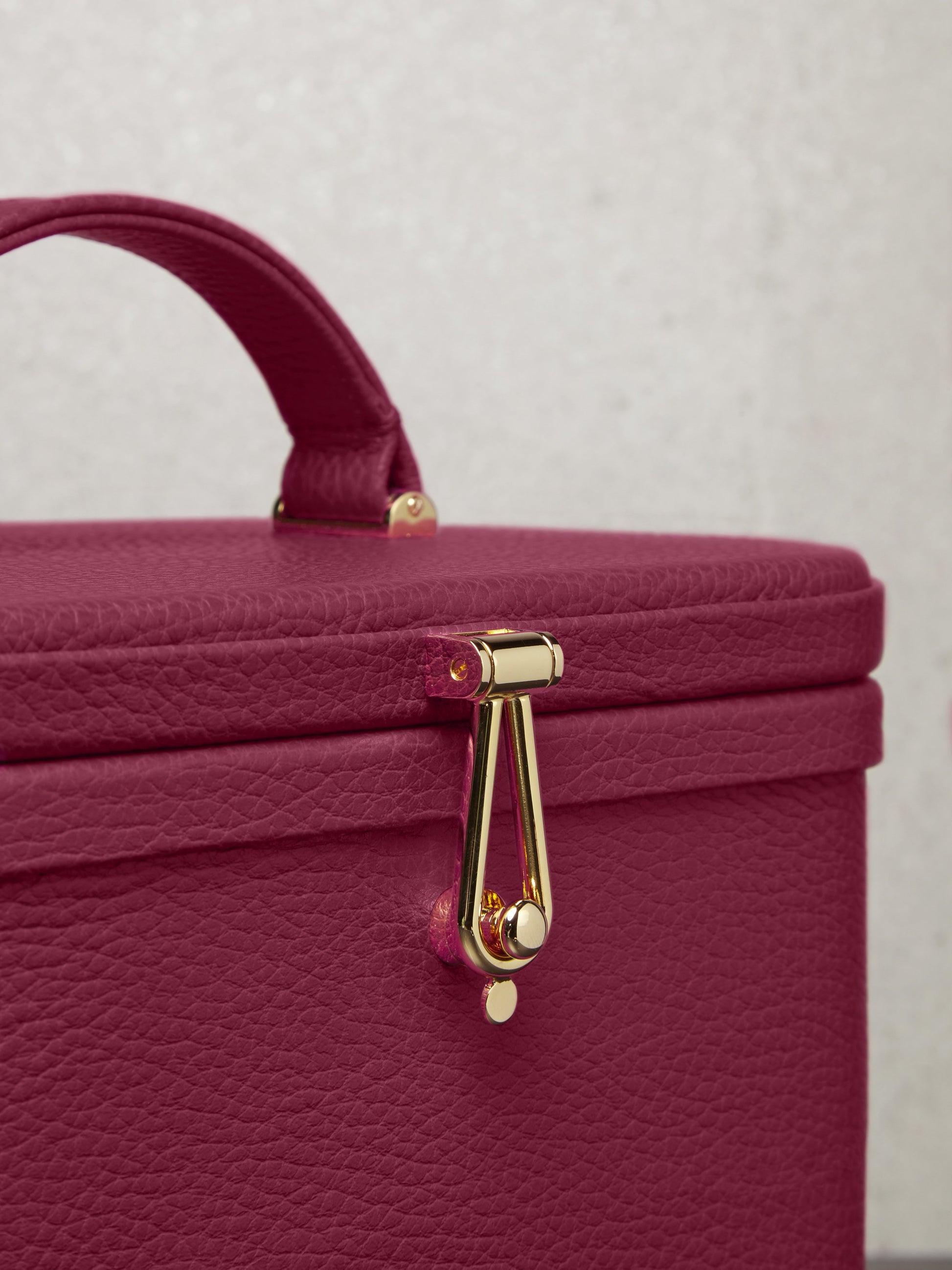 Atelier Verdi small pink leather vanity case, gold buckle detail